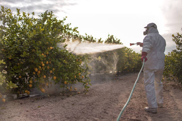 Pest Control for Restaurants in Bexley, OH